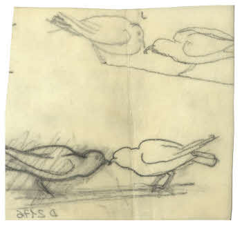 Visualizza l'immagine "FD D 2176"